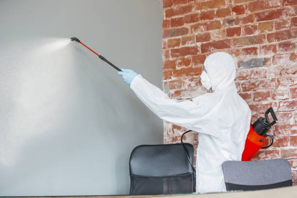 Best Mold Remediation for Healthcare Facilities  in Riverdale, NJ