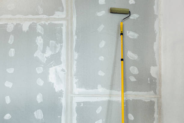 Best Basement Mold Removal  in Riverdale, NJ