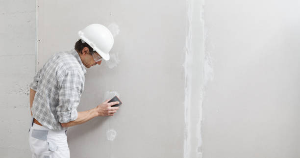 Best Mold Removal for HVAC Installations  in Riverdale, NJ