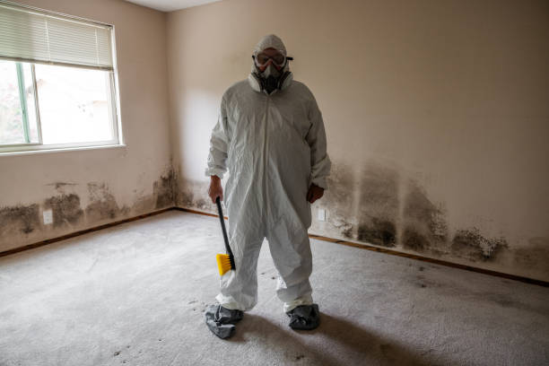 Mold Odor Removal Services in Riverdale, NJ