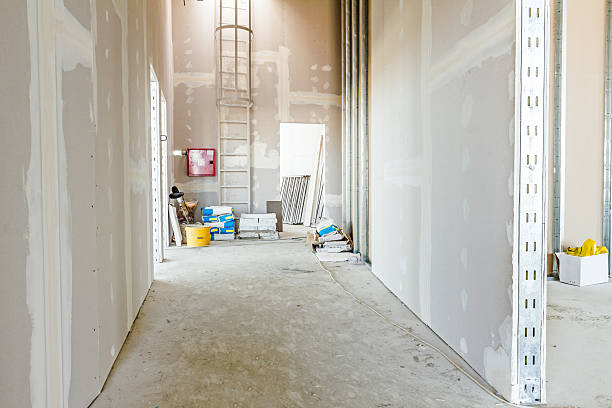 Best Comprehensive Air Testing for Mold Contaminants  in Riverdale, NJ